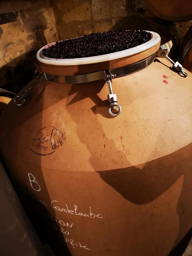 Chateau Cantelaube Saint-Émilion Dış mekan fotoğraf
