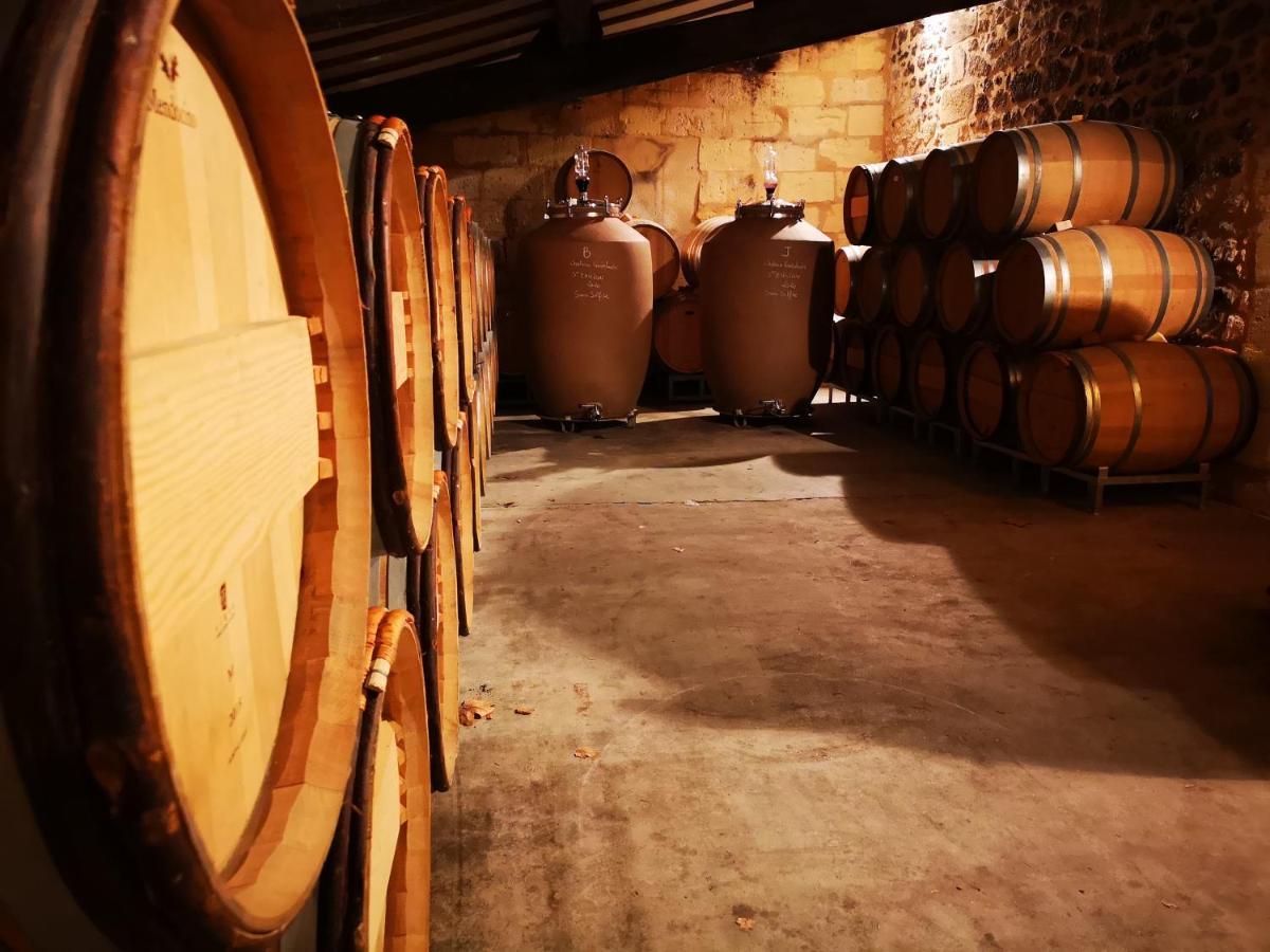 Chateau Cantelaube Saint-Émilion Dış mekan fotoğraf