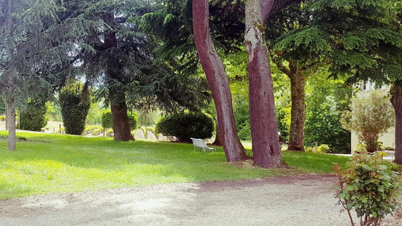 Chateau Cantelaube Saint-Émilion Dış mekan fotoğraf