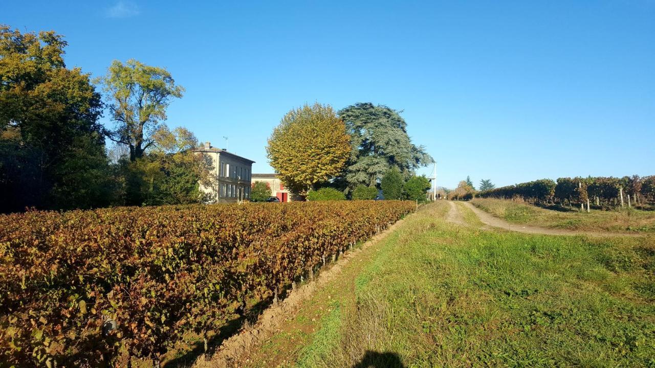 Chateau Cantelaube Saint-Émilion Dış mekan fotoğraf